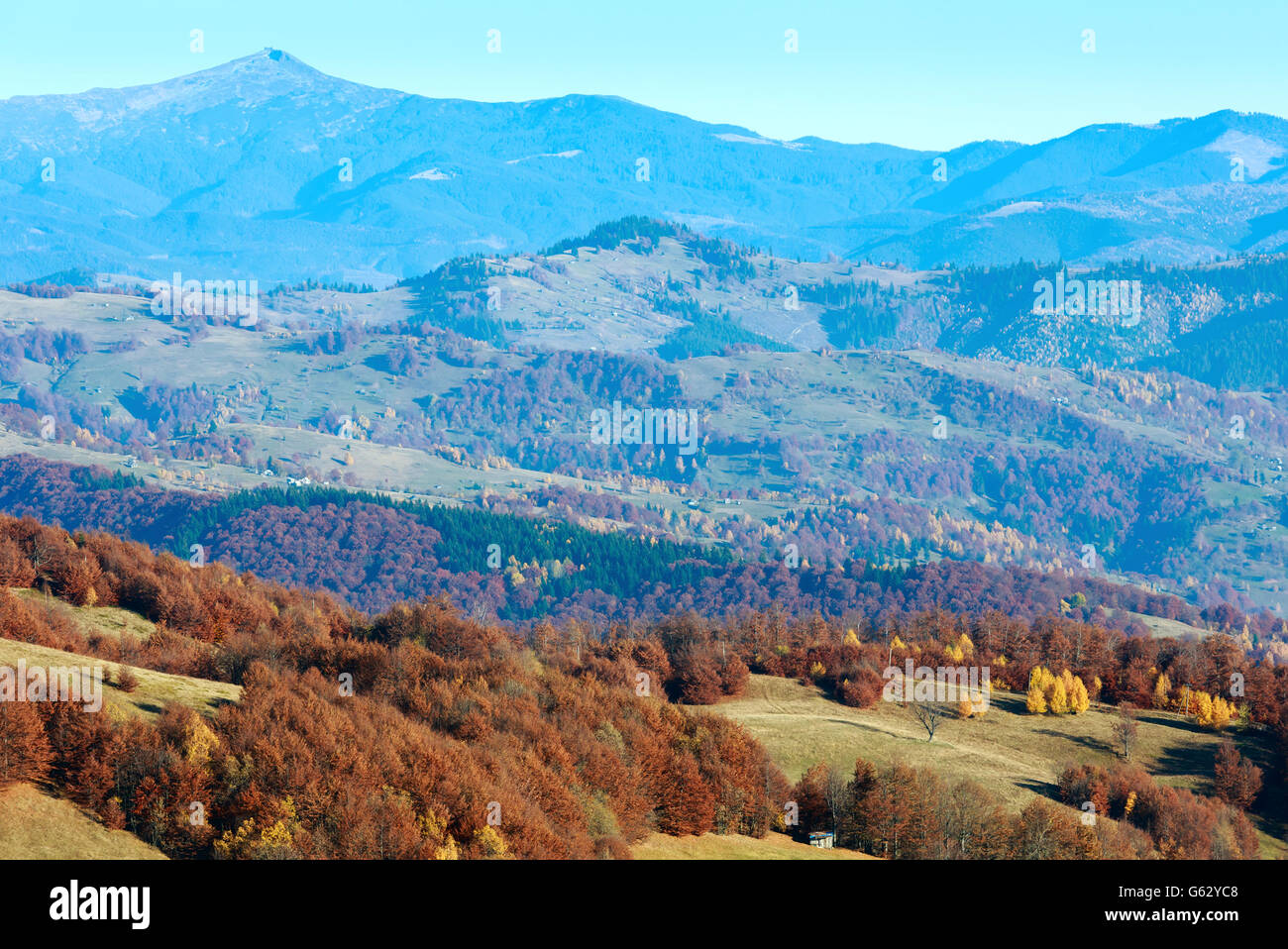 Autumn misty mountain landscape with colorful trees on slope Stock ...