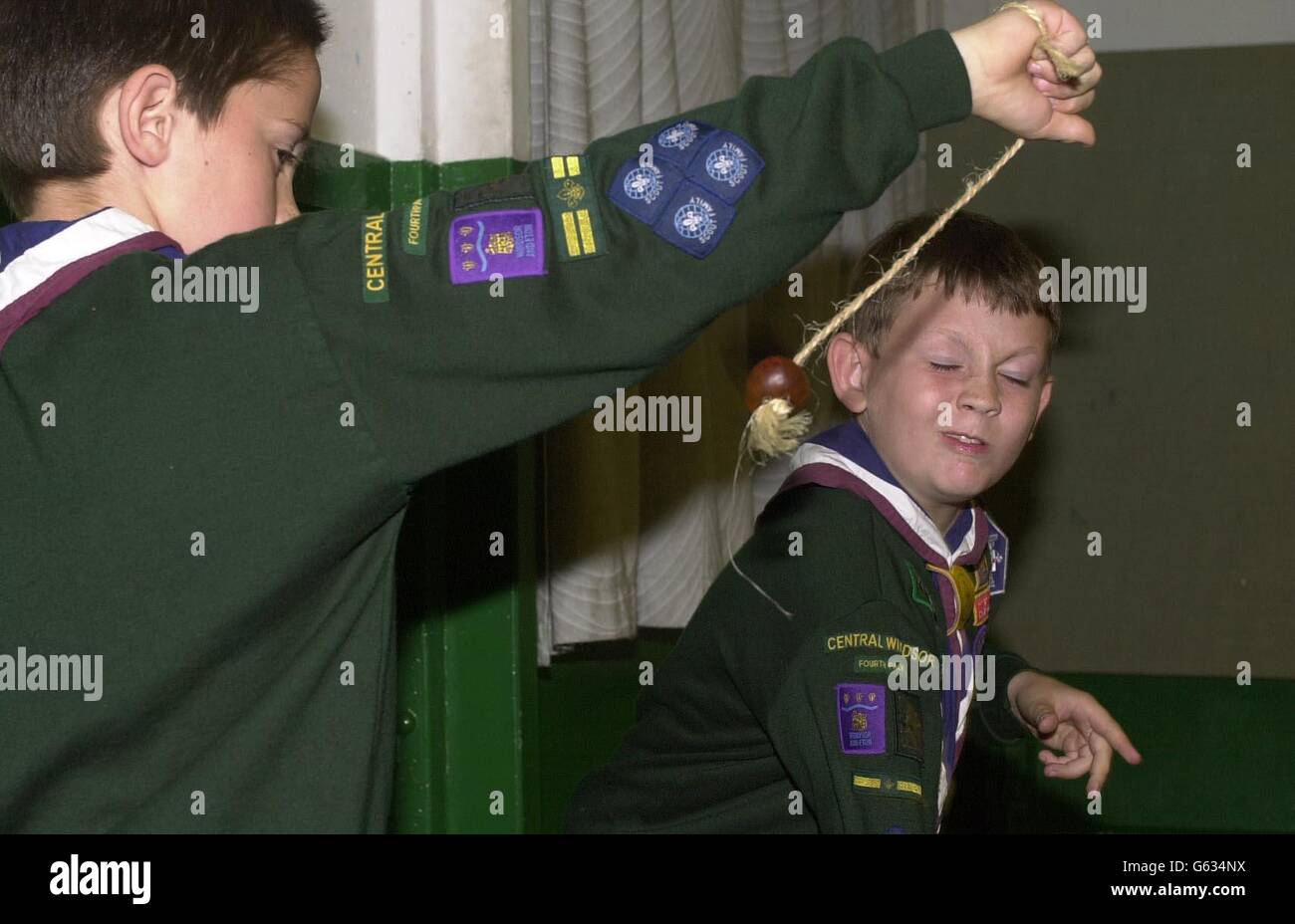 Cubs of the Central Windsor Pack playing Conkers. The group of cub scouts held their annual conker contest tonight without suffering any injuries. The group in Windsor, Berkshire, last week sparked fears of a nationwide ban on playing conkers in the scouts. * Local scout leader Colin Linton had required parents to sign consent forms before their children unleashed their conkers. Stock Photo