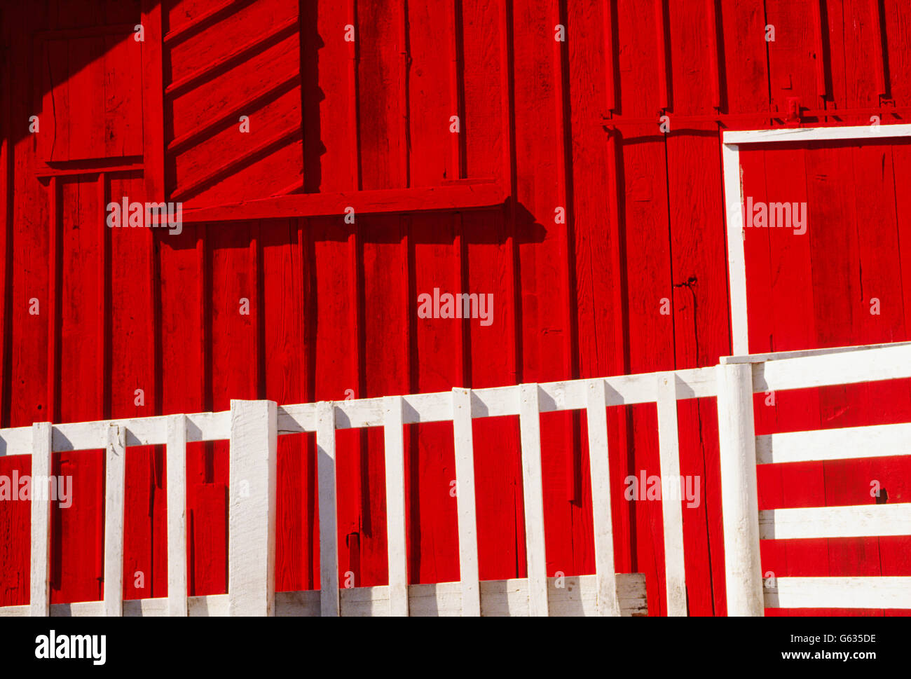 BRIGHT RED BARN, CHARLES W. WILSON RANCH; DAIRY & BEEF CATTLE, NEAR SEQUIM, WASHINGTON, USA Stock Photo