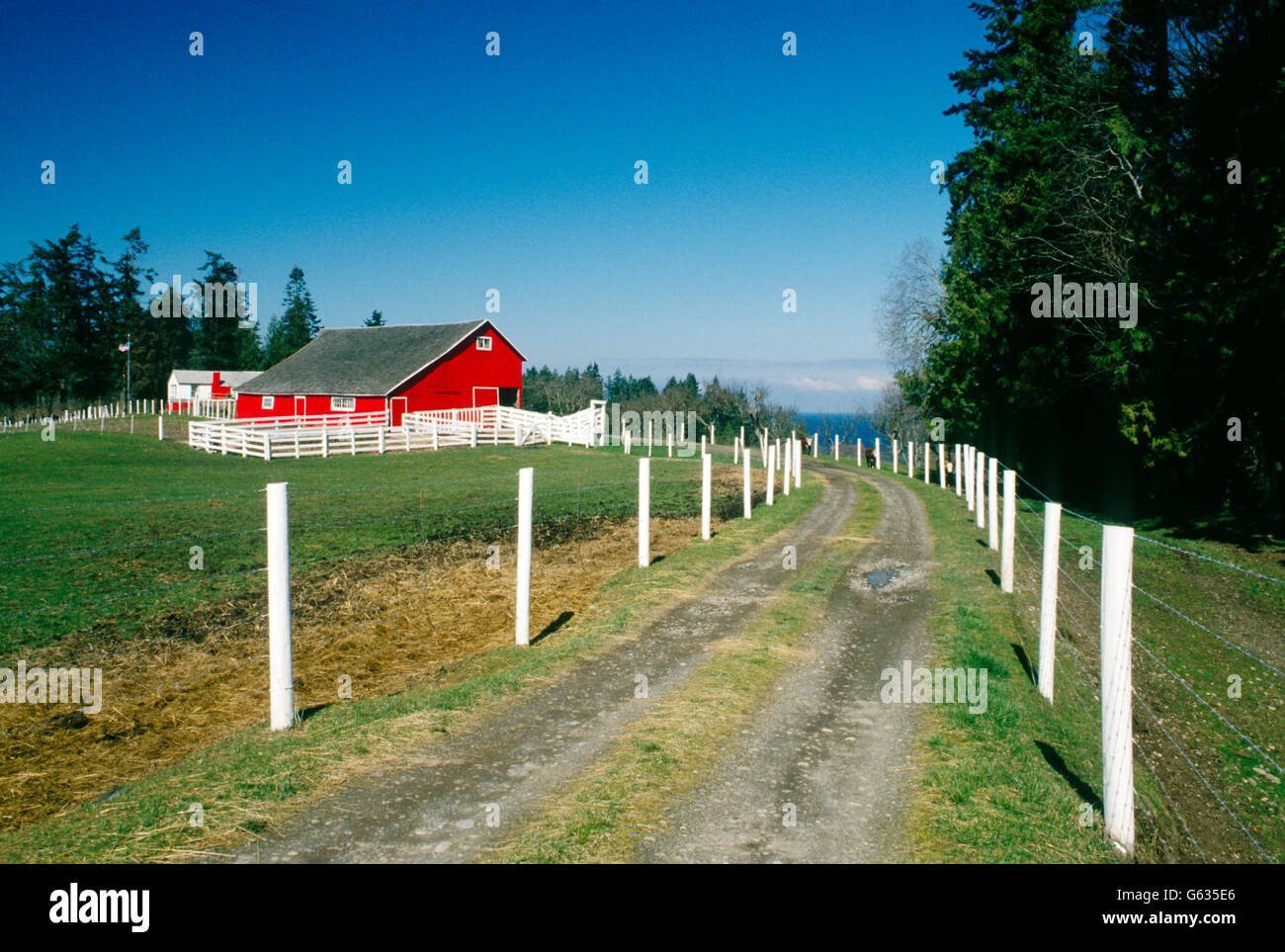 BRIGHT RED BARN, CHARLES W. WILSON RANCH; DAIRY & BEEF CATTLE, NEAR ...