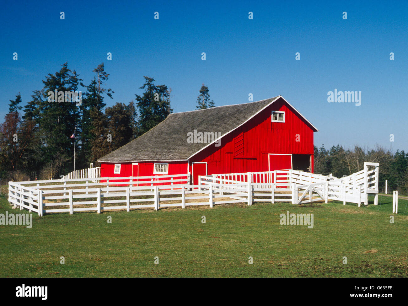 BRIGHT RED BARN, CHARLES W. WILSON RANCH; DAIRY & BEEF CATTLE, NEAR
