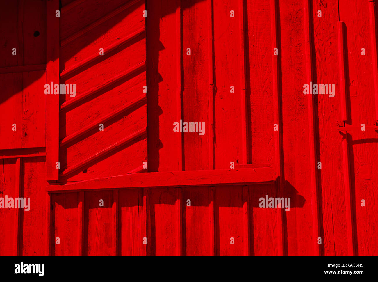 BRIGHT RED BARN, CHARLES W. WILSON RANCH; DAIRY & BEEF CATTLE, NEAR SEQUIM, WASHINGTON, USA Stock Photo