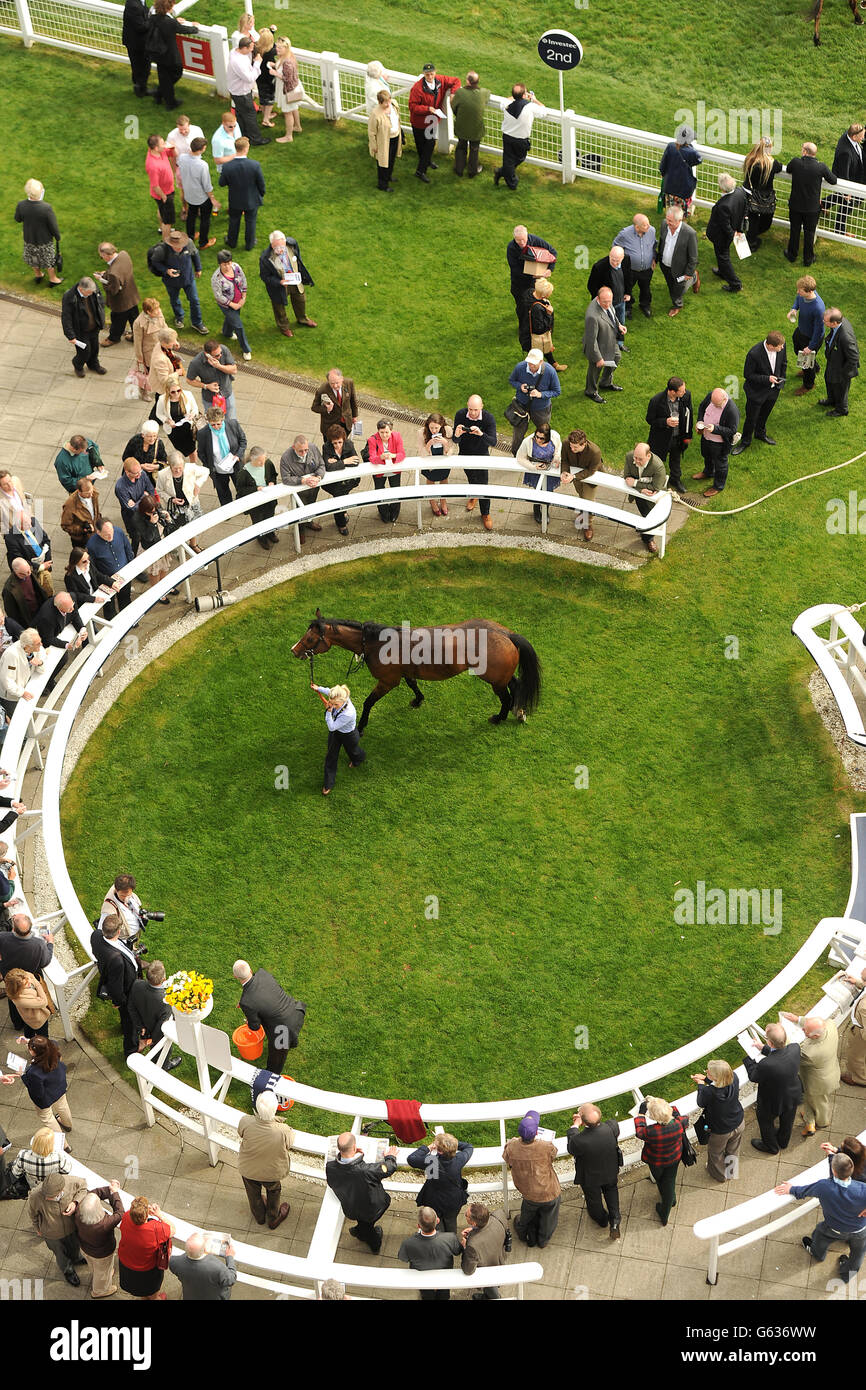 Horse Racing - Investec Spring Meeting - Epsom Downs Racecourse. Area Fifty One in the winners enclosure after winning the Investec Property Investments City And Suburban Handicap Stock Photo