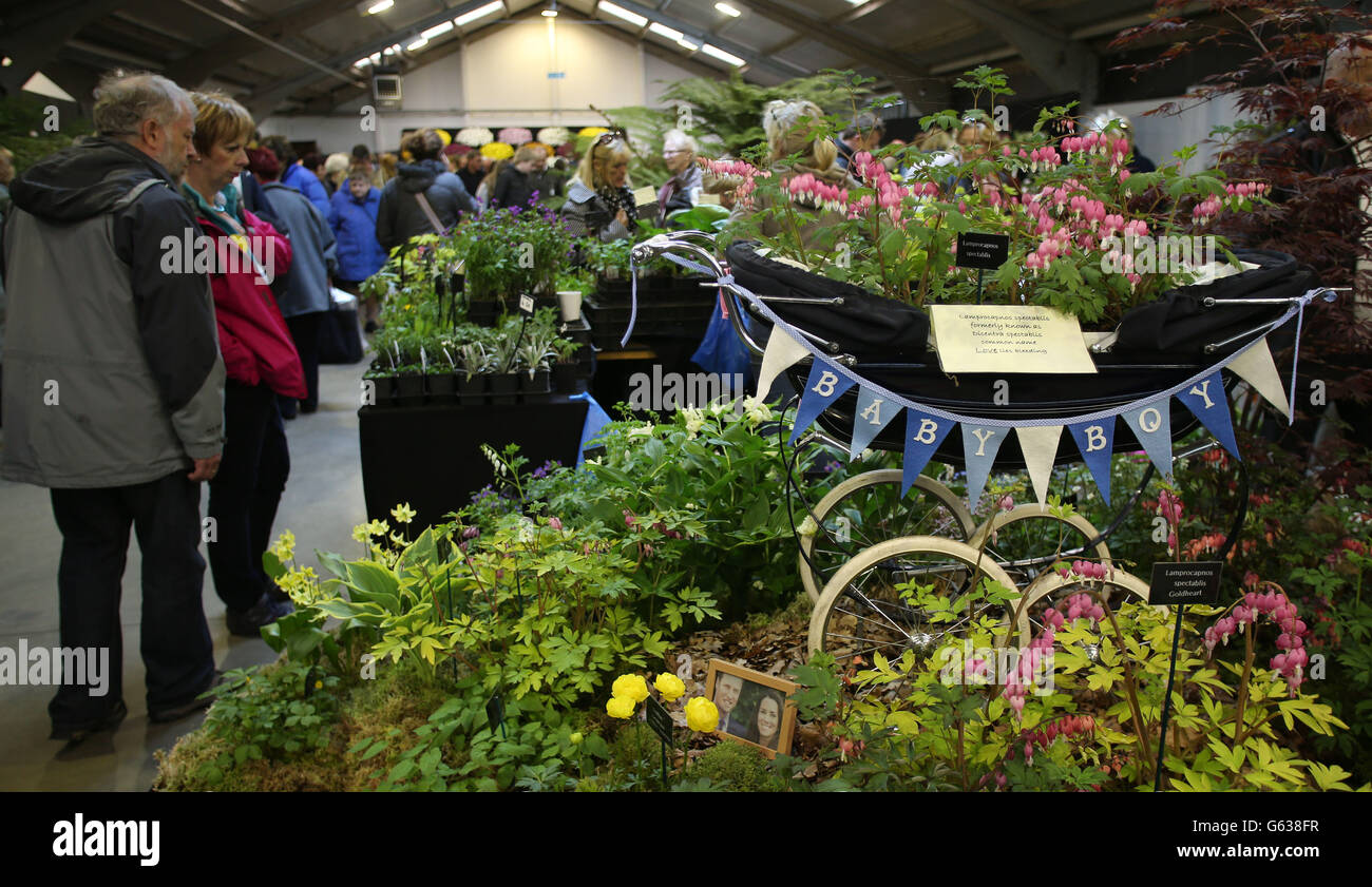 Harrogate Spring Flower Show Stock Photo Alamy