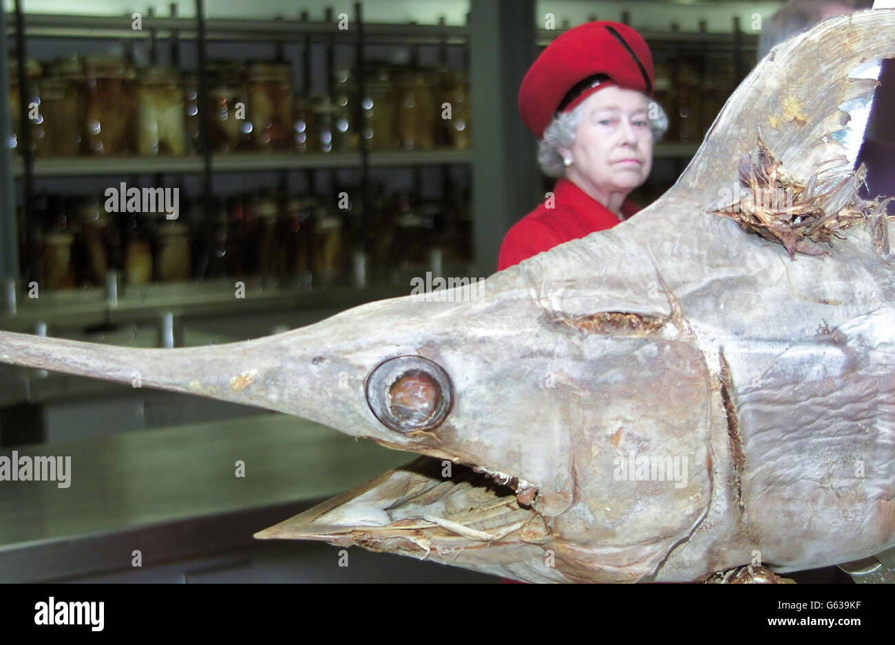 The Queen Open Darwin Centre Stock Photo