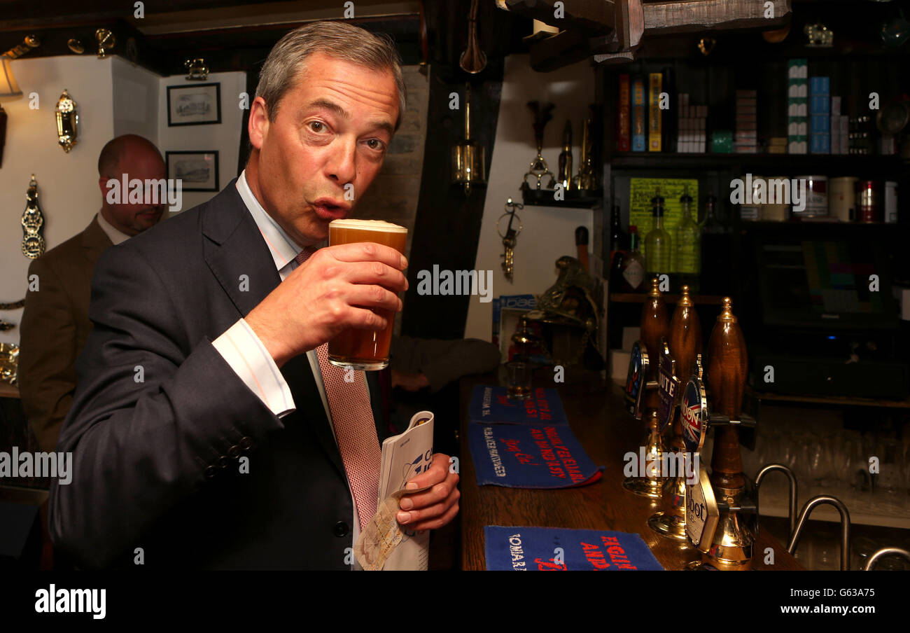 Leader of UKIP Nigel Farage, sips a pint of Tribute Ale during a visit to the Jolly Sailor Pub during a visit to Ramsey in Cambridgeshire while on the local election campaign trail. Stock Photo