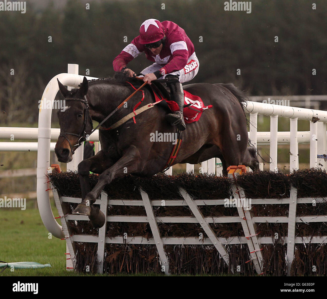 Rye Martini ridden by Davy Russell jumps the last to win The Stephens Green Hibernian Club Hurdle during Ladbrokes.com World Series Hurdle Day at the 2013 Festival at Punchestown Racecourse, Co Kildare, Ireland. Stock Photo