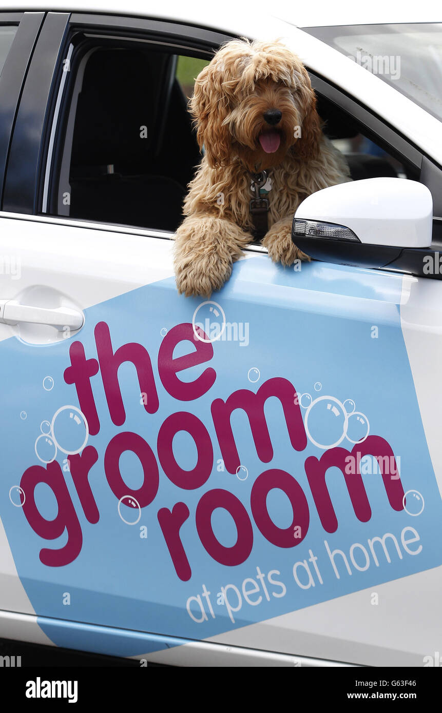 The groom room deals solihull