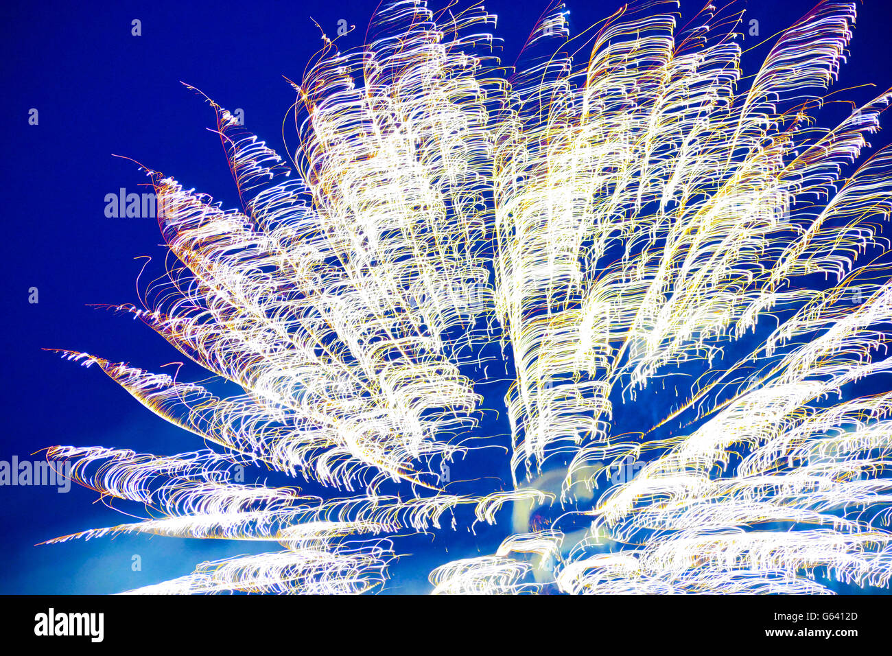 A colorful firework in the night sky Stock Photo