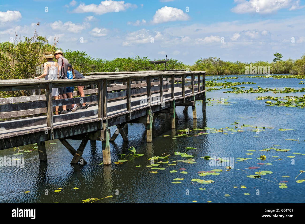 Florida, Everglades National Park, Anhinga Trail, family on boardwalk Stock Photo