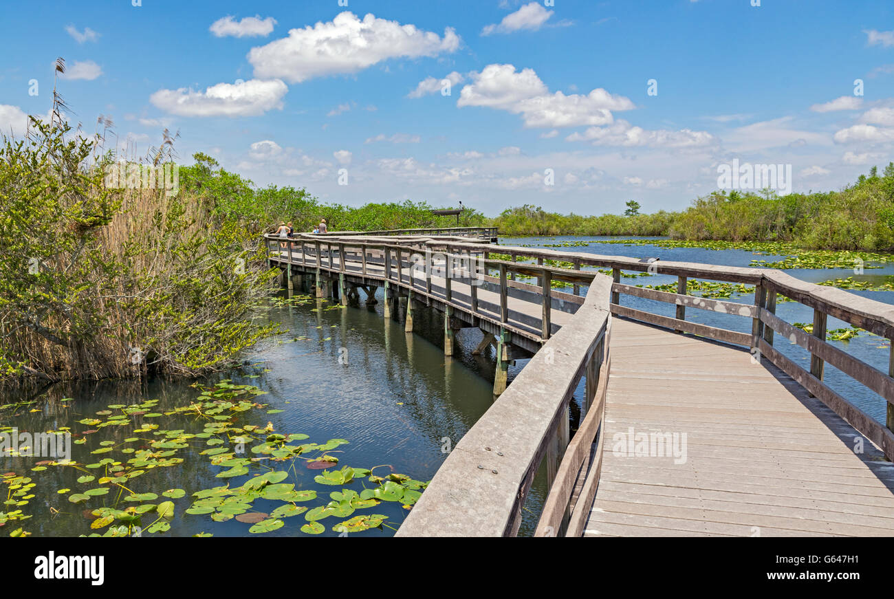 Florida, Everglades National Park, Anhinga Trail, family on boardwalk Stock Photo