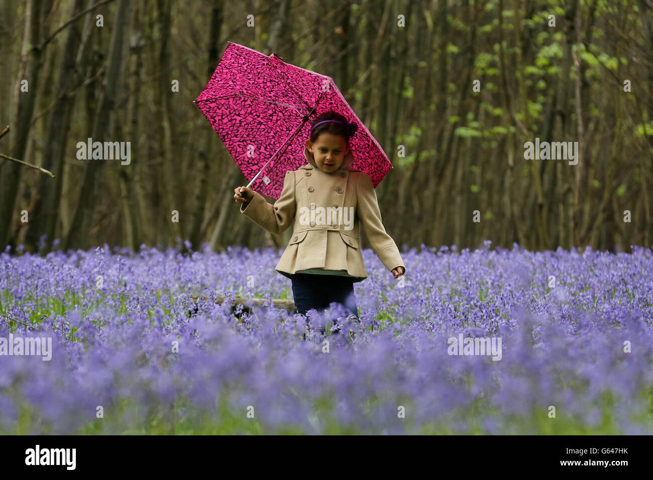 Spring weather - May 24 Stock Photo - Alamy