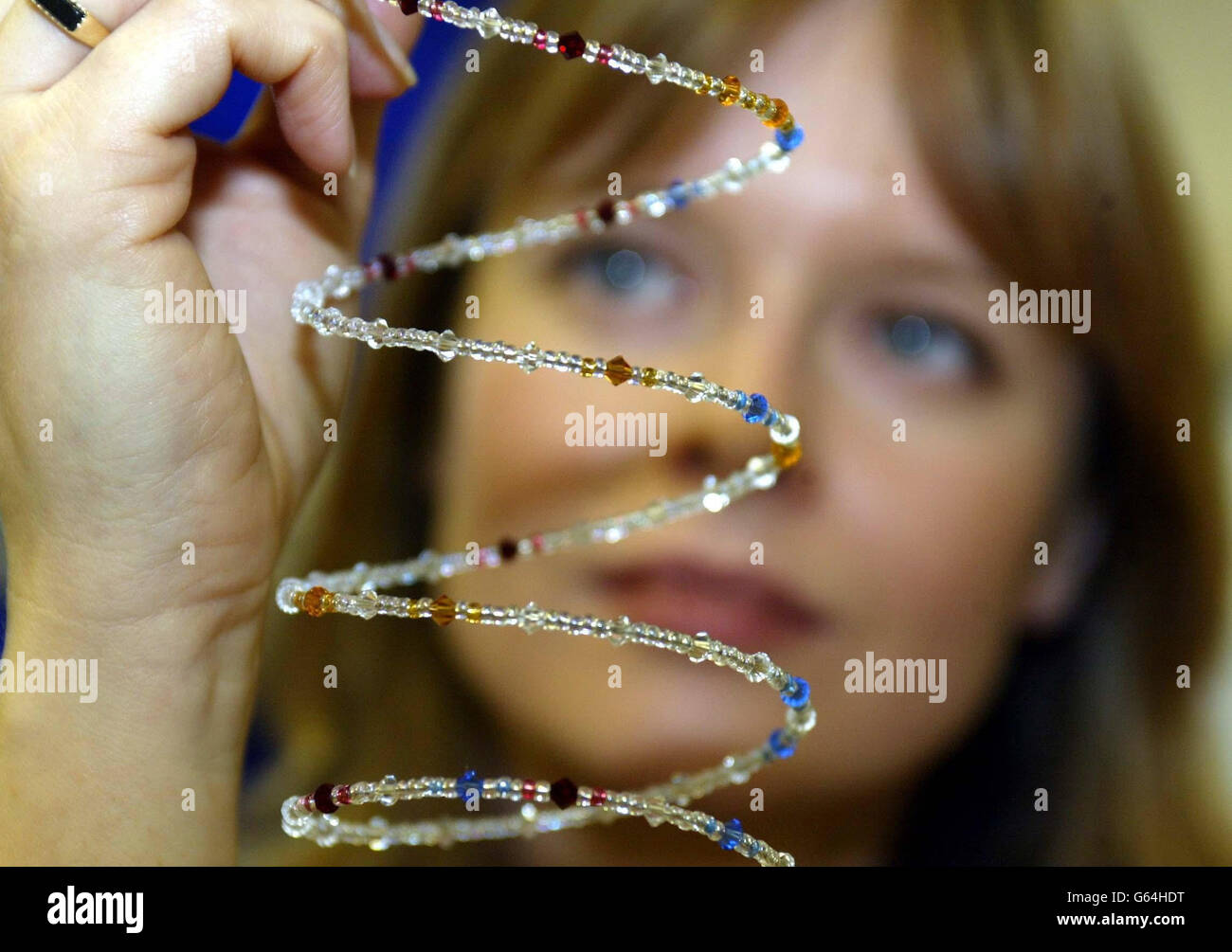 Scientist Louise Allcroft from the Sunderland-based biotechnology firm Complement Genomics shows off the latest in personalised Christmas gift - a necklace. * ... created with alternating bands of gemstones and silver in the design of your very own genetic fingerprint. The firm has developed a range of items - from jewellery to rugs, glassware, and screens - that can be tailored to patterns based on the sequence of lines that represent an individual's DNA profile. All a customer needs to do is take a DNA sample with a swab from the inside of the recipient s mouth and send it, with the gift Stock Photo
