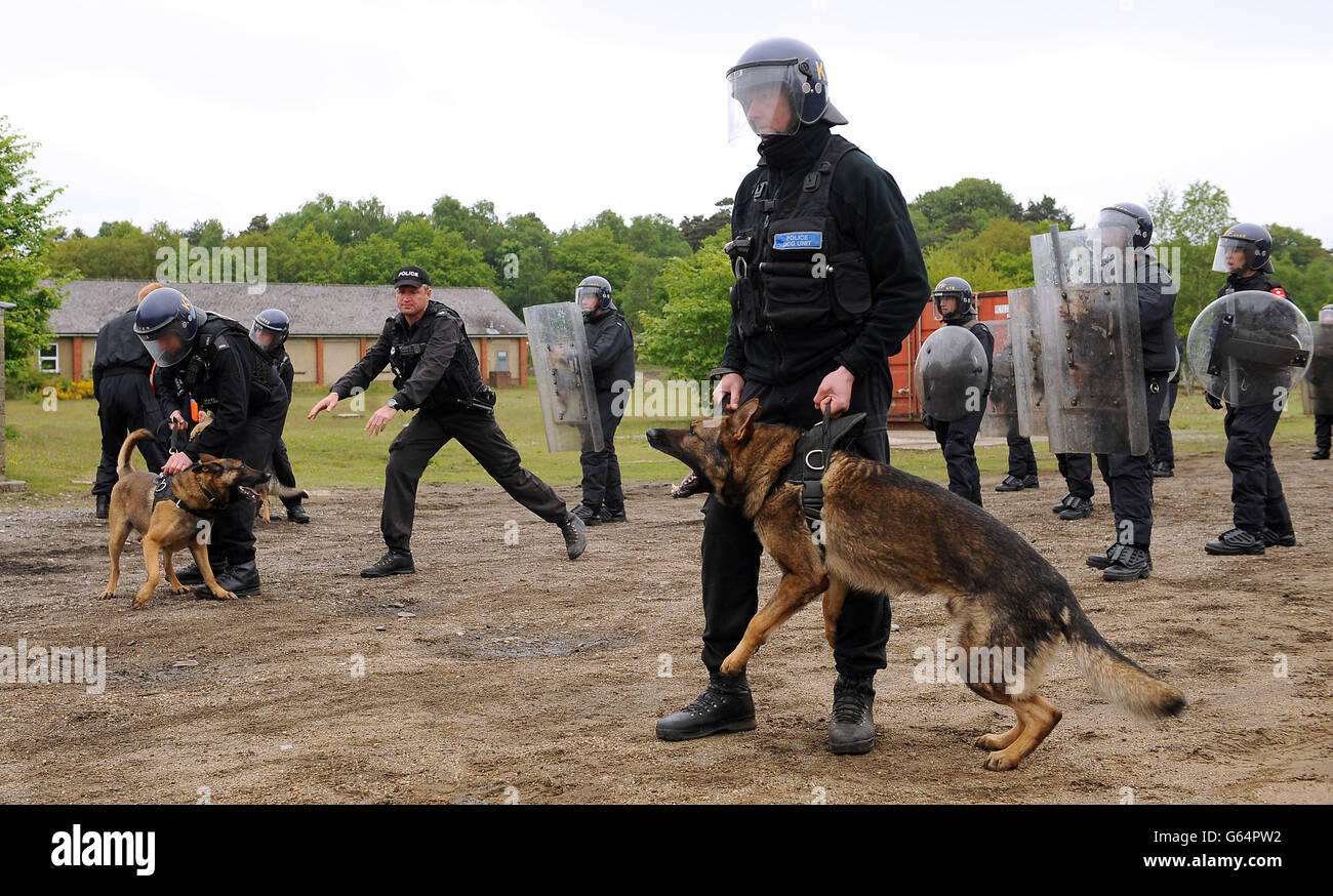 Police officers including members of the PSNI undergo riot training including the use of dog handlers at Longmoor Army Camp ahead of the G8 meeting in Northern Ireland. Stock Photo