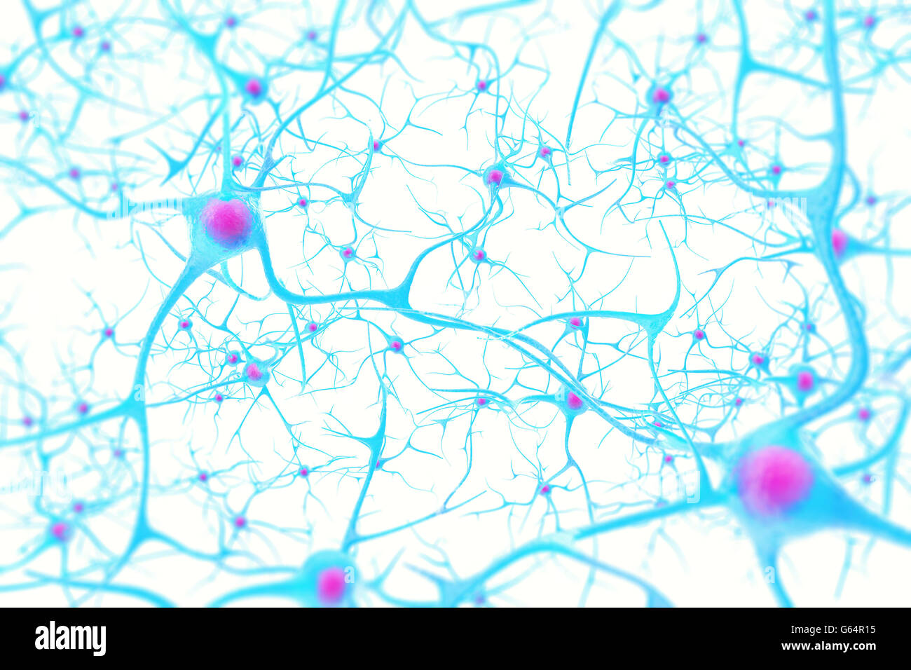 Neurons in the brain on white background with focus effect. 3d illustration Stock Photo