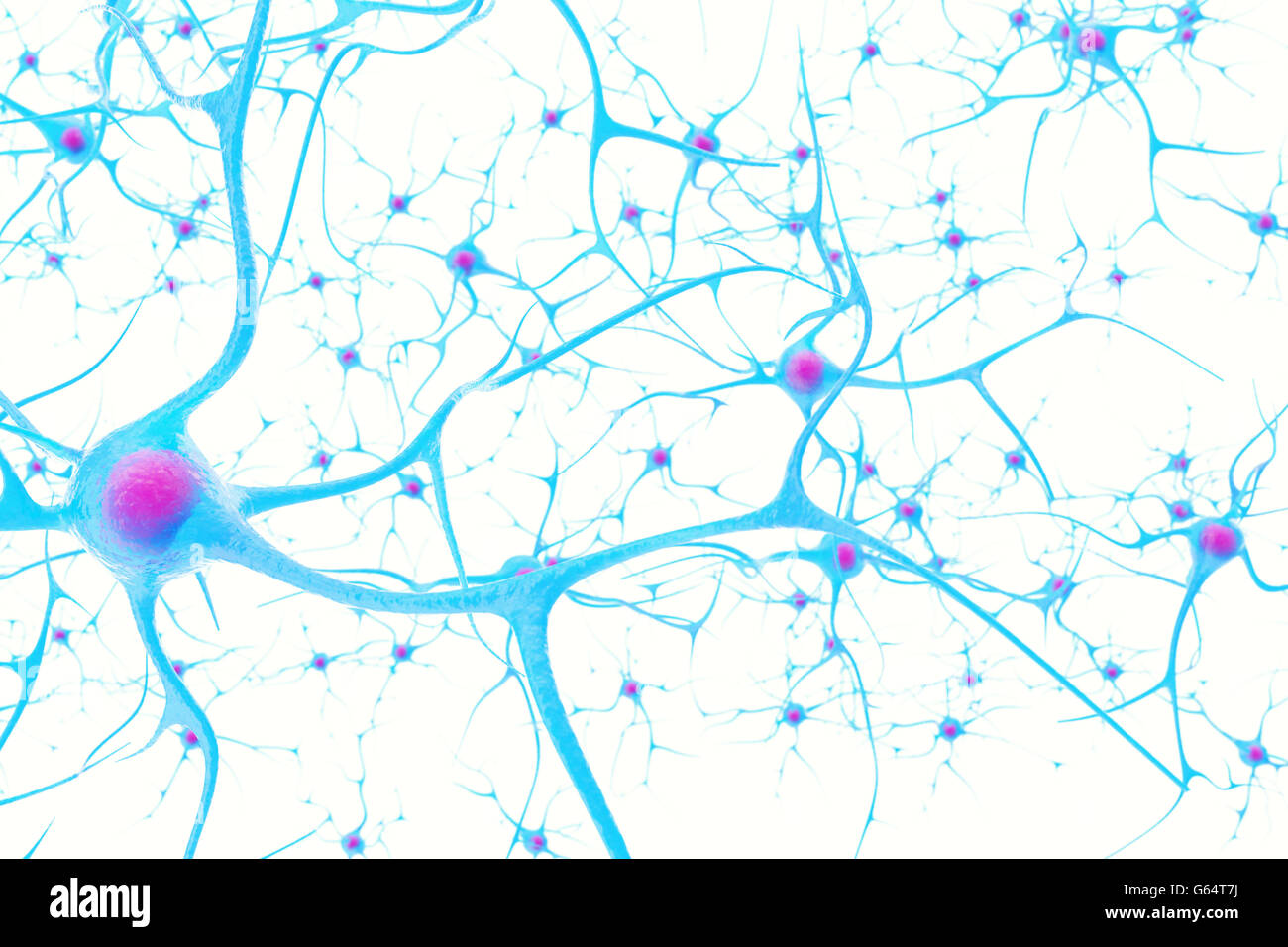 Neurons in the brain on white background with focus effect. 3d illustration Stock Photo