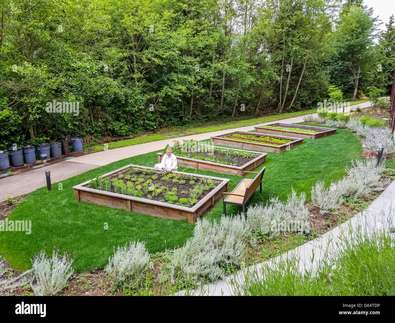 Culinary Director Roy Breiman shows off the herb and vegetable garden