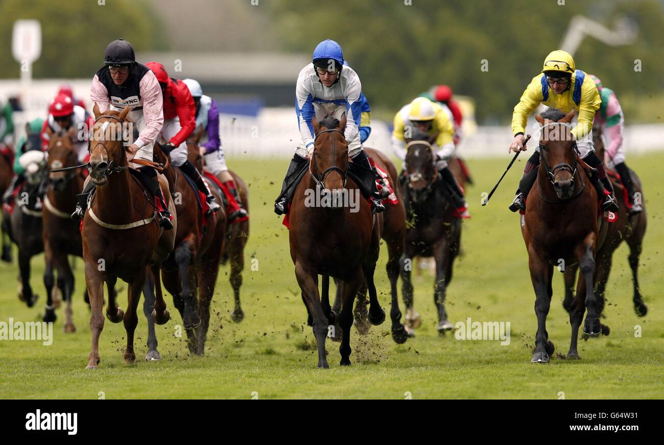 Horse Racing 2013 Race, Rattle 'n' Roll Day Two Ascot Racecourse