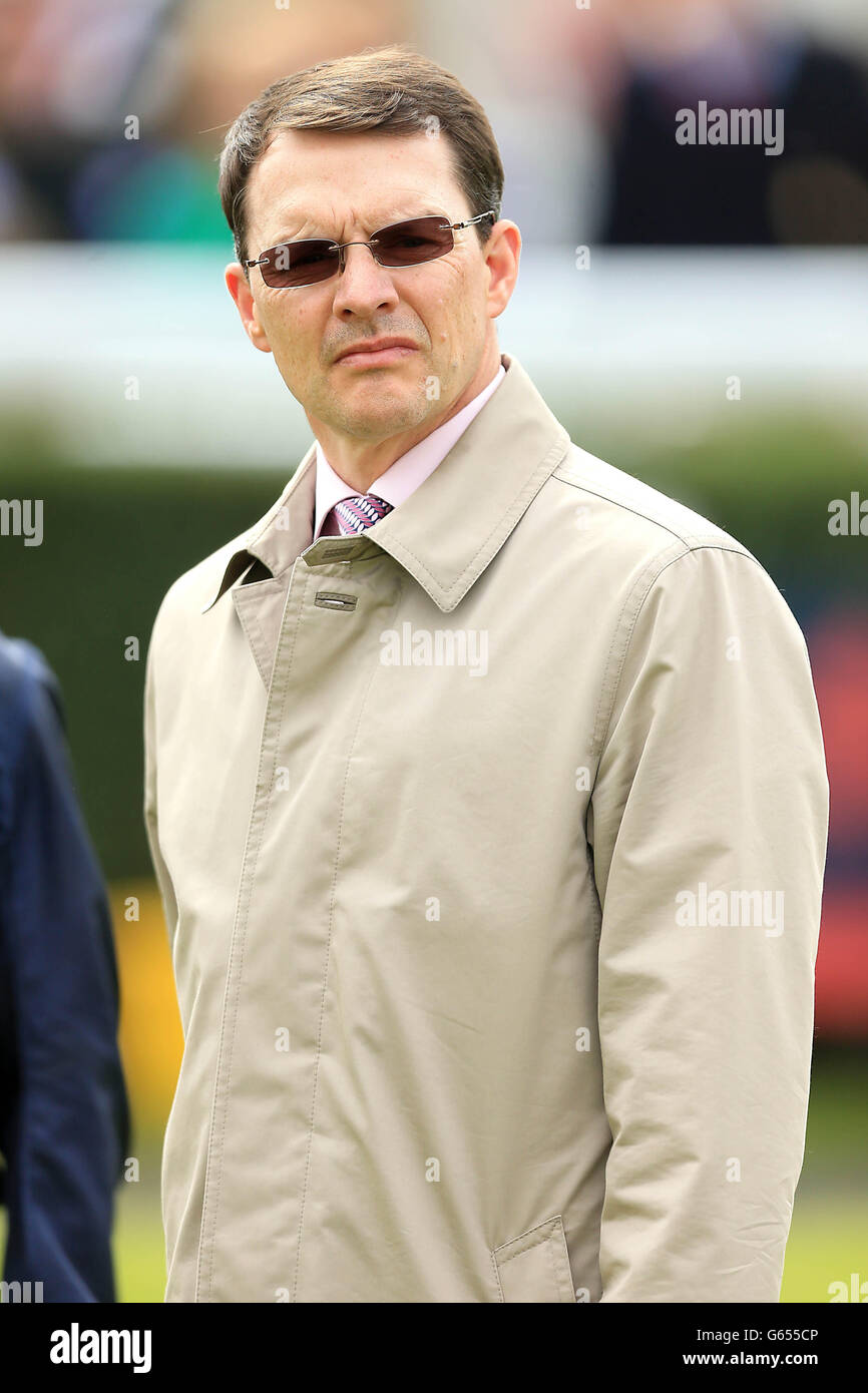 Horse trainer aiden obrien hi-res stock photography and images - Alamy