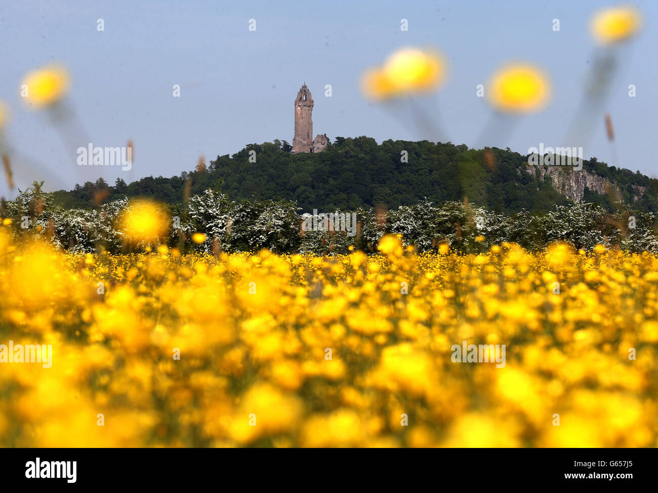 Summer weather June 6 Stock Photo Alamy