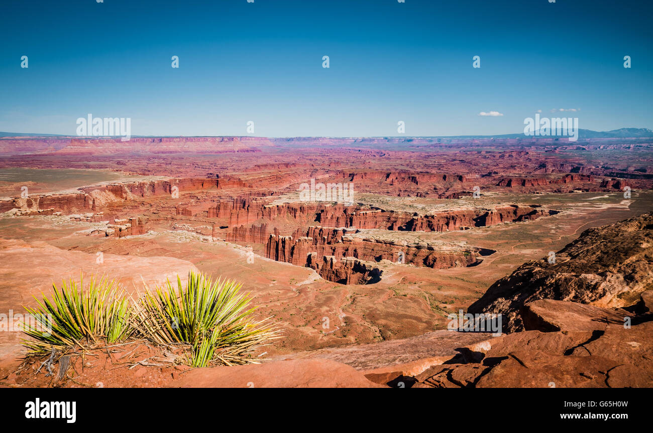 Amazing Canyonlands National Park, Utah, USA Stock Photo
