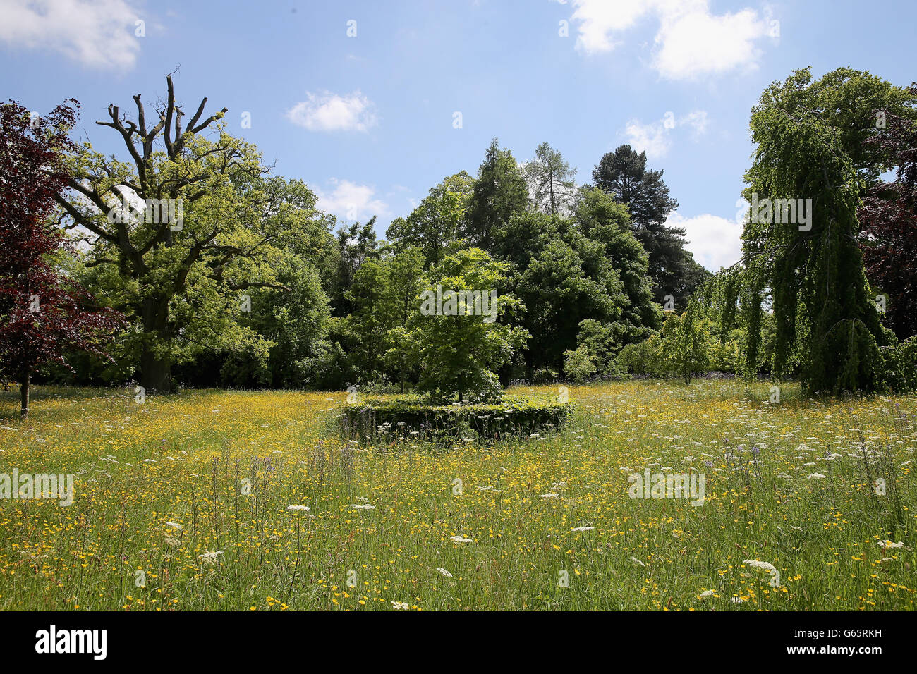 General view of the meadows at Highgrove House at the launch for the Coronation Meadows Initiative by the Prince of Wales. Stock Photo