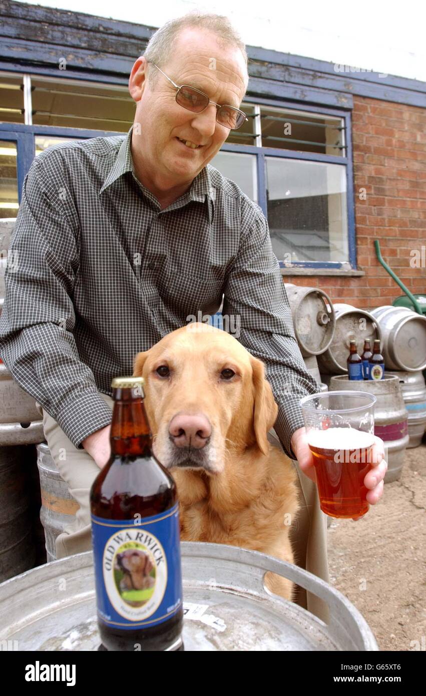 Warwick, a retired Guide Dog, with his owner Derek Thorpe, from Reading, during a photocall in Cubbington, near Leamington Spa, Hertfordshire,to launch The Guide Dogs for Blind Association's fundraising brew 'Old Warwick'. *..The 'Old Warwick' label features an image of Warwick, and also celebrates the county where the original bottled beer is brewed. 20p from the sale of each bottle will be donated to The Guide Dogs for blind Association. Stock Photo