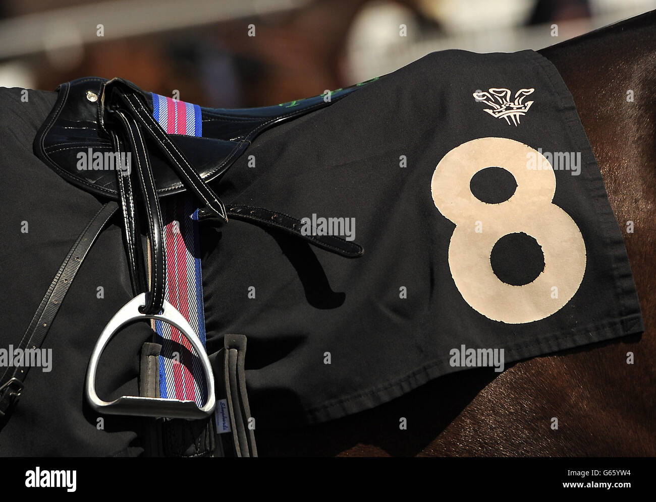 Ampics eight gspo gensport gv general view hires stock photography and