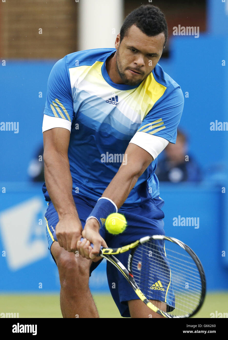 Tennis AEGON Championships 2013 Day Four The Queen's Club Stock