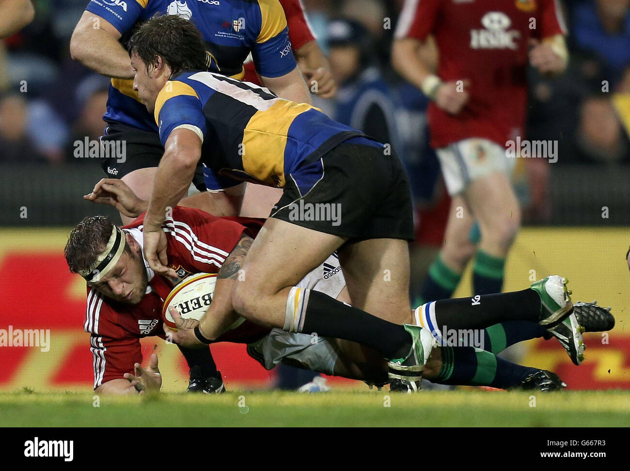 British and irish lions tour hires stock photography and images Alamy