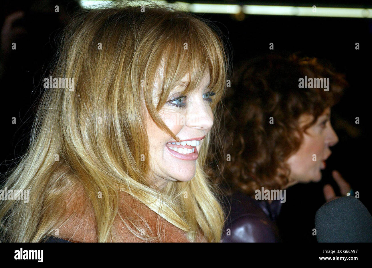 Goldie Hawn The Banger Sisters Stock Photo - Alamy