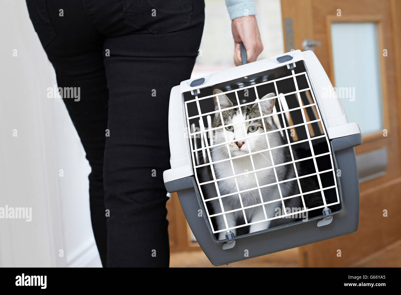 Woman Taking Pet Cat To Vet In Carrier Stock Photo