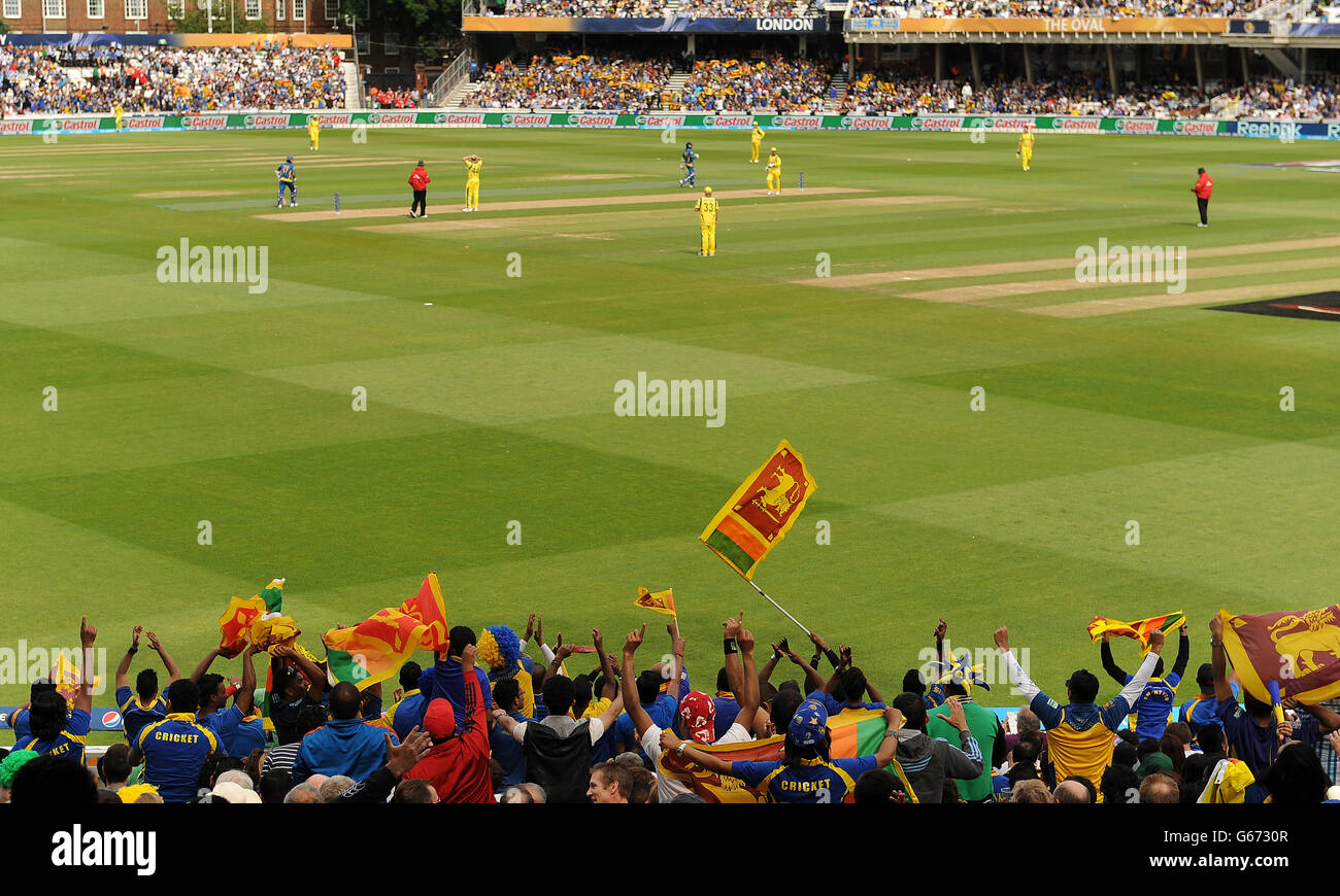 Sri Lanka fans celebrate in the stands during the match between Sri