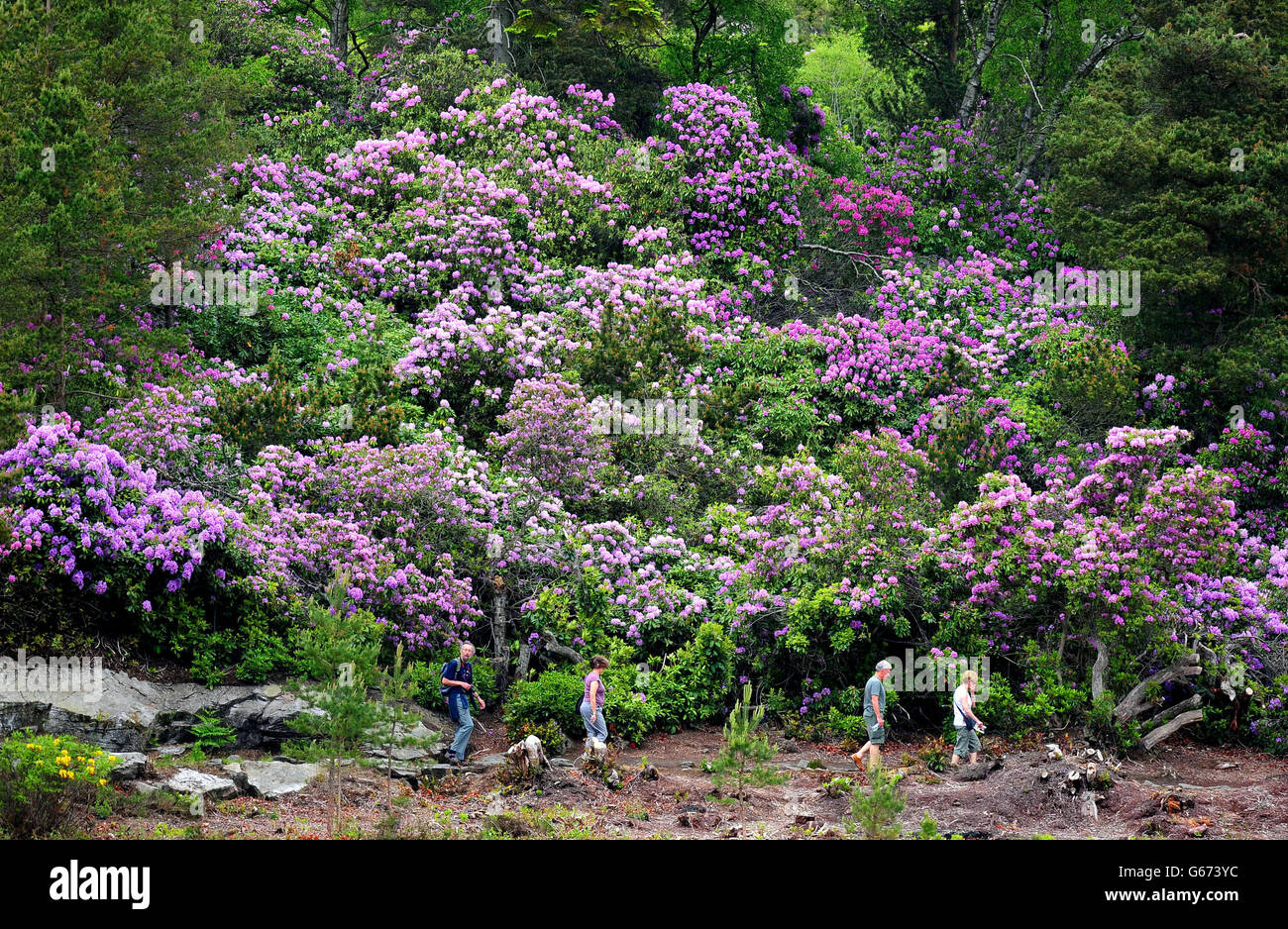 Summer weather June 20 Stock Photo Alamy