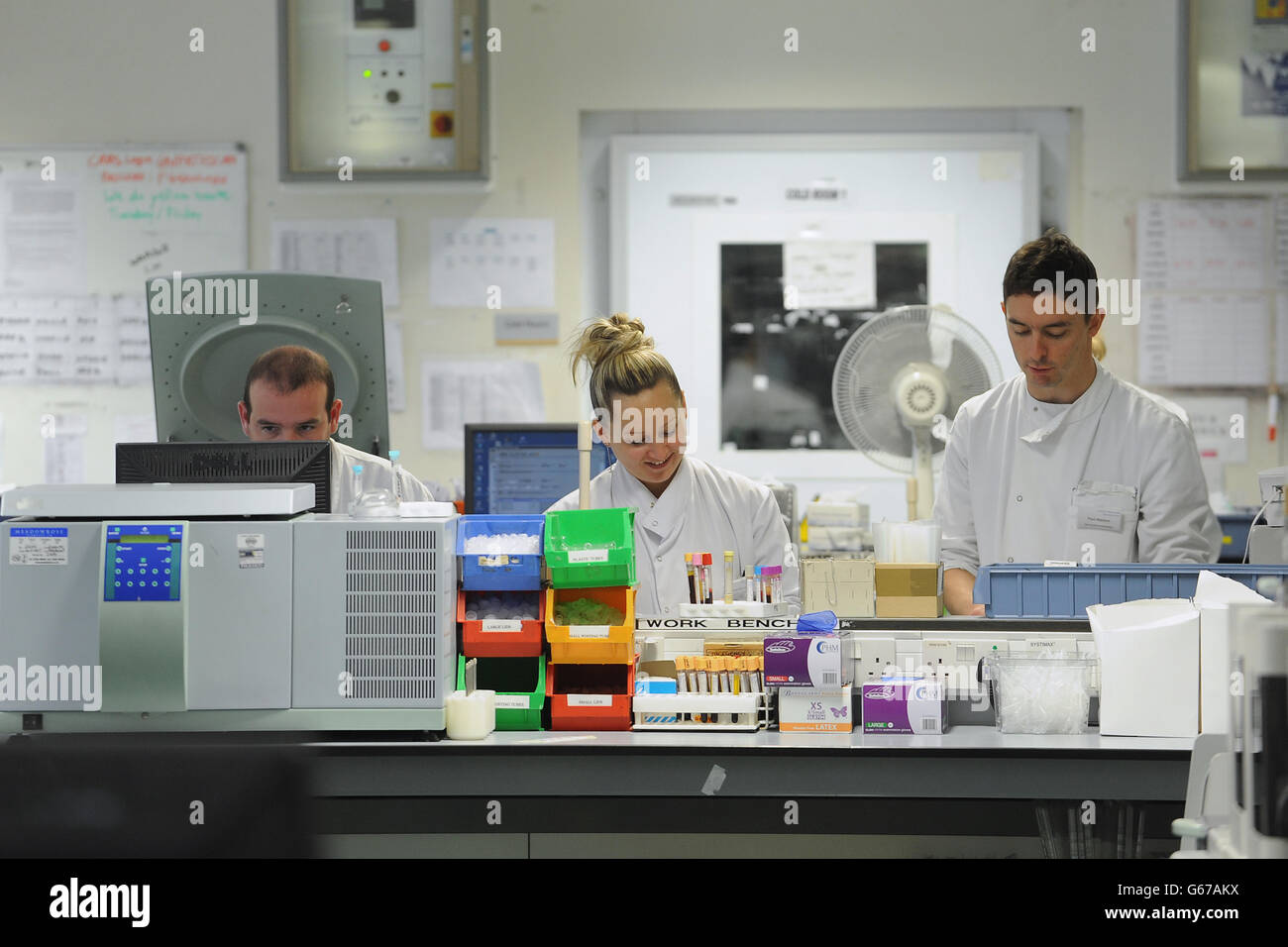 Biochemists analyse blood samples in the lab at University Hospital, Coventry to determine the chance of a pregnant women developing post natal depression. Research led by Professor Dimitris Grammatopolous, Professor of Molecular Medicine and Consultant in Clinical Biochemistry and Molecular Diagnostics at University Hospitals Coventry and Warwickshire has proven that a genetic variation can lead to women becoming up to five times more likely to suffer from post natal depression. Stock Photo