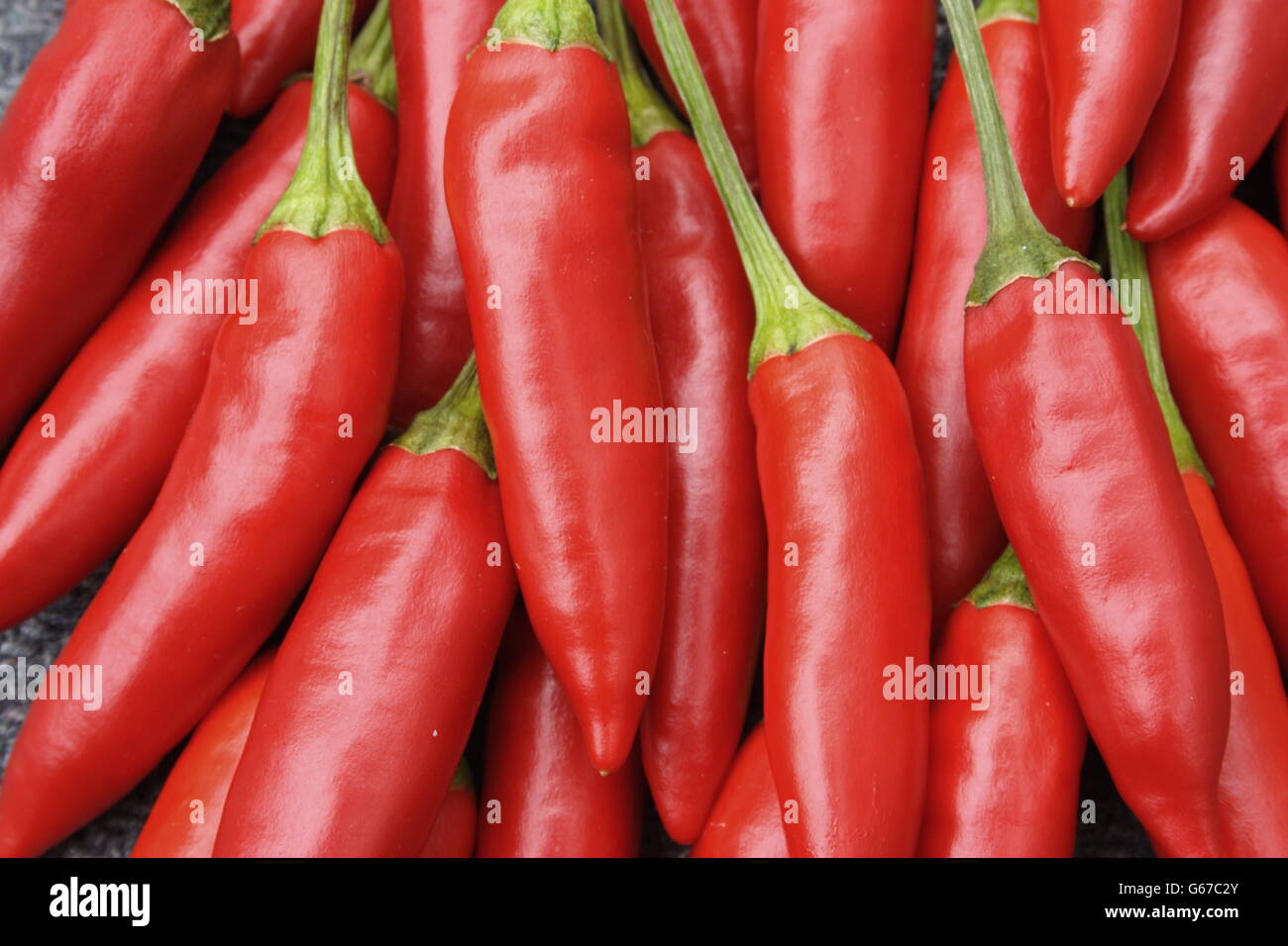 Birdseye Chilli's bunched close up Stock Photo