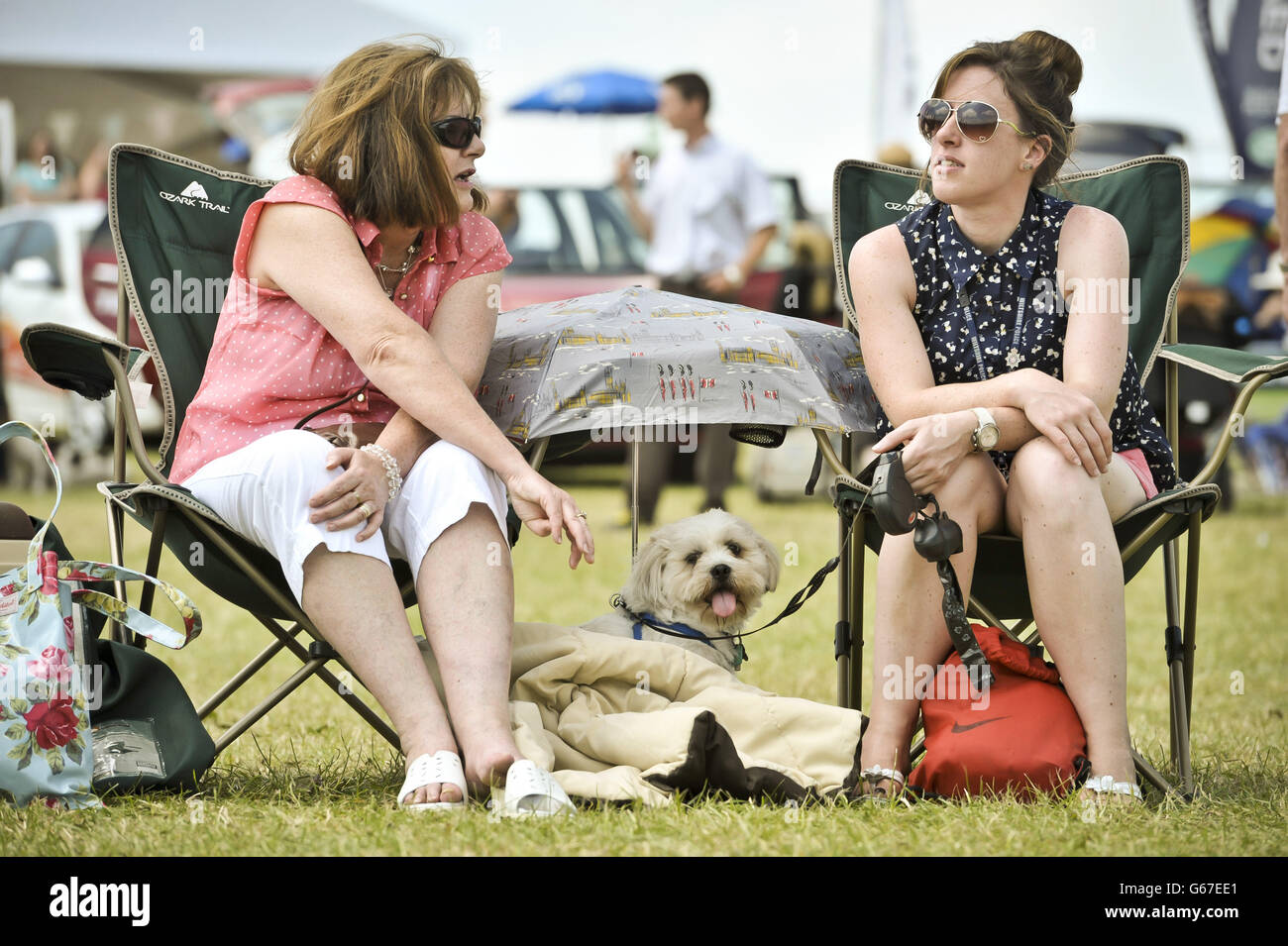 A dog takes shade under an umbrella in the hot sunshine during day four of the Barbury International Horse Trials at Barbury Castle, Wiltshire. Stock Photo