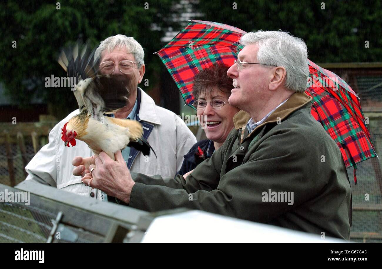 Rspca southridge animal centre in potters bar hires stock photography