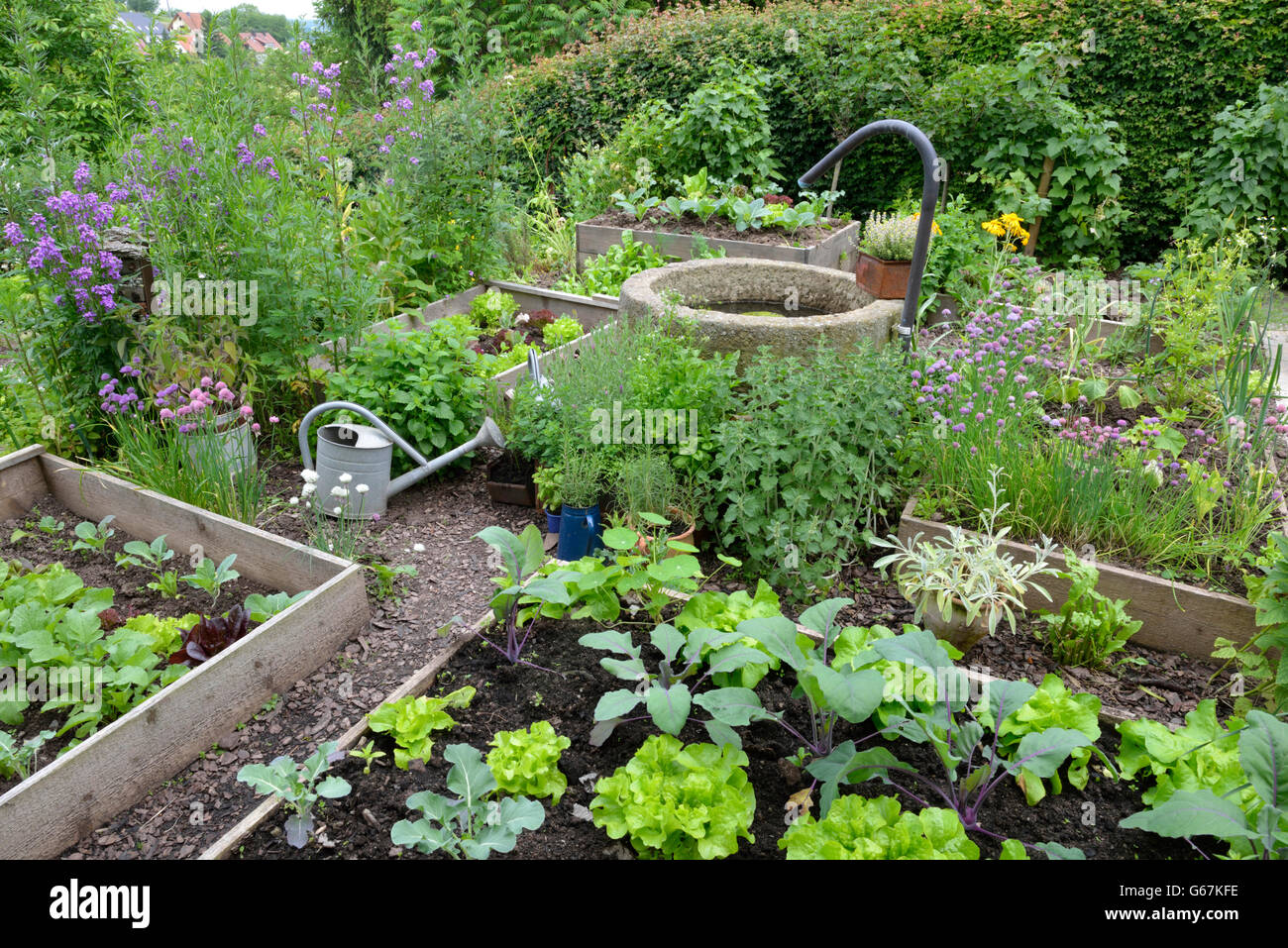 Vegetable garden, wildlife garden Stock Photo