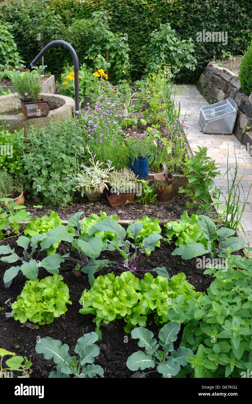 Vegetable garden, wildlife garden Stock Photo