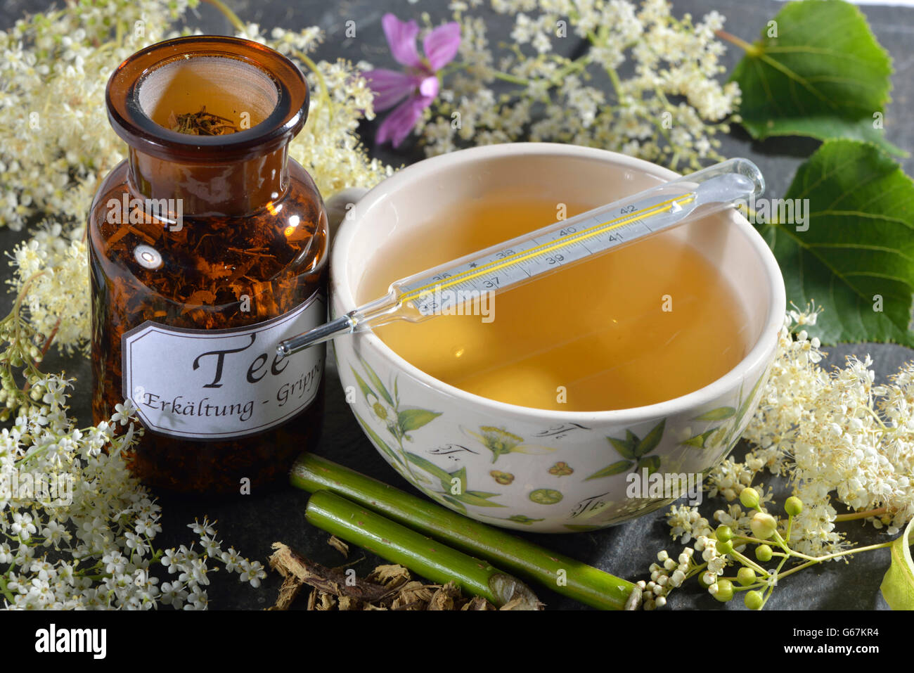 Colds and Influenza tea, Lime Tree blossom, Elderflower, Elderberry, Mallow leaf, Mallow, Common Mallow, Liquorice root, European elderberry, Elder, Common elder, Black elder, willow bark / (Tilia cordata), (Tilia grandifolia), (Sambucus nigra), (Salix sp Stock Photo