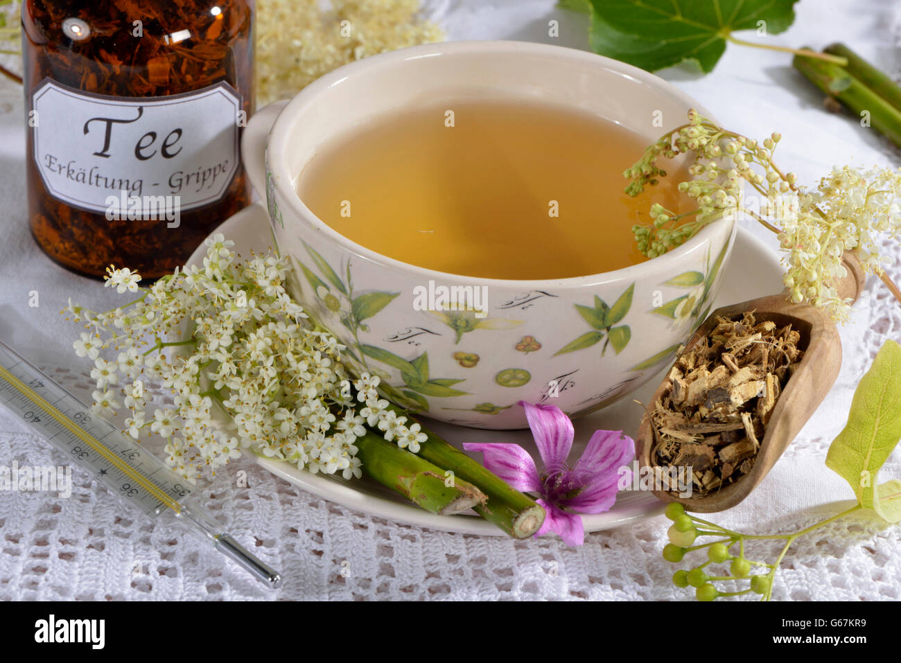 Colds and Influenza tea, Lime Tree blossom, Elderflower, Elderberry, Mallow leaf, Mallow, Common Mallow, Liquorice root, European elderberry, Elder, Common elder, Black elder, willow bark / (Tilia cordata), (Tilia grandifolia), (Sambucus nigra), (Salix sp Stock Photo