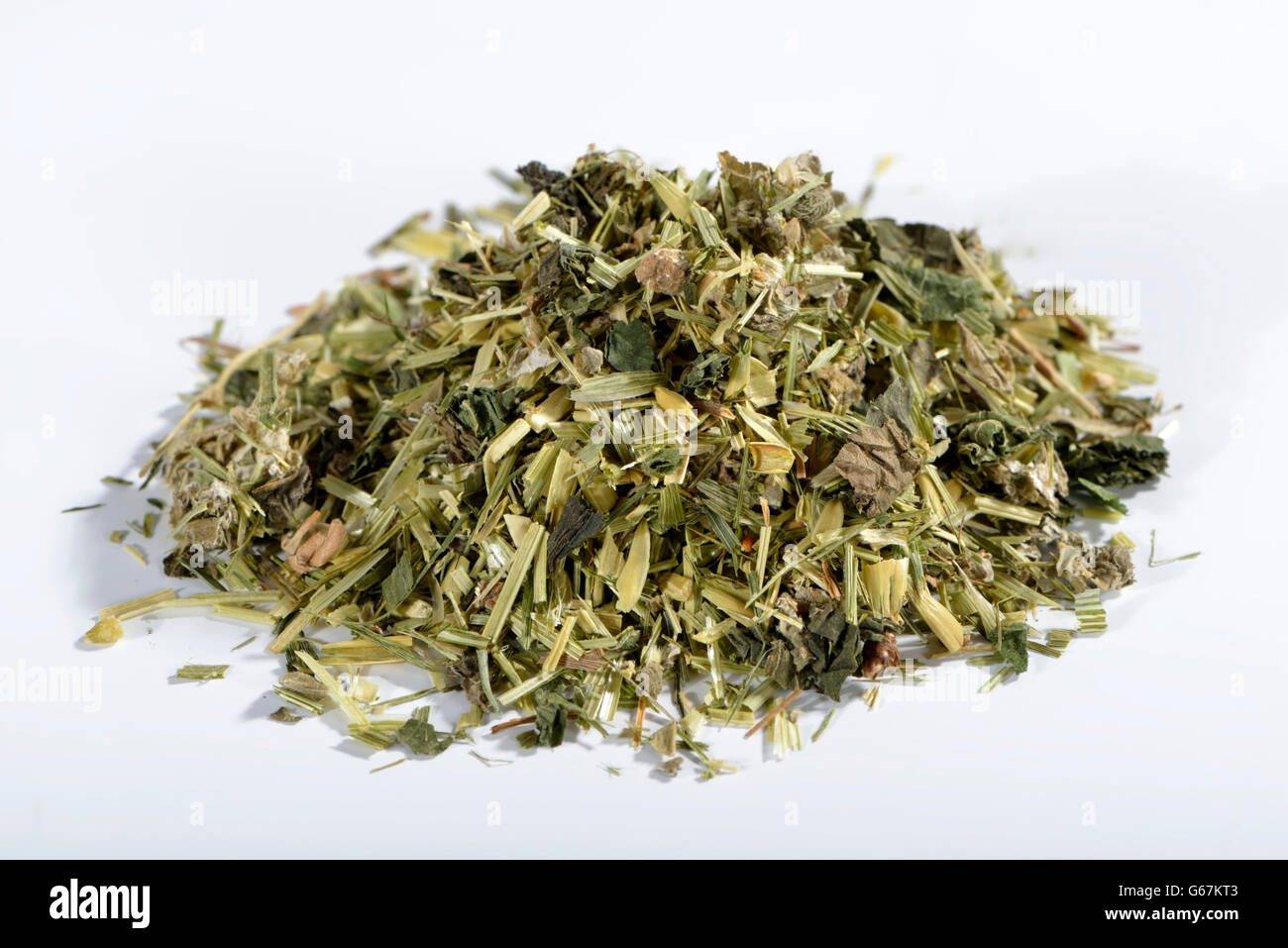Green Oat tea, Common oat, Nettle herb, Alpine lady's mantle / (Avena sativa), (Urtica dioica), (Alchemilla alpina) Stock Photo