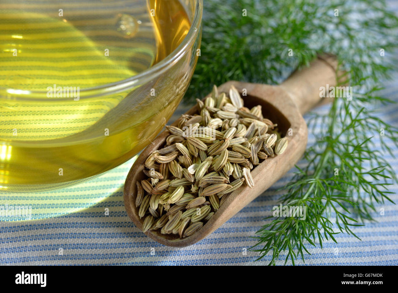 A cup of fennel tea / (Foeniculum vulgare Stock Photo Alamy