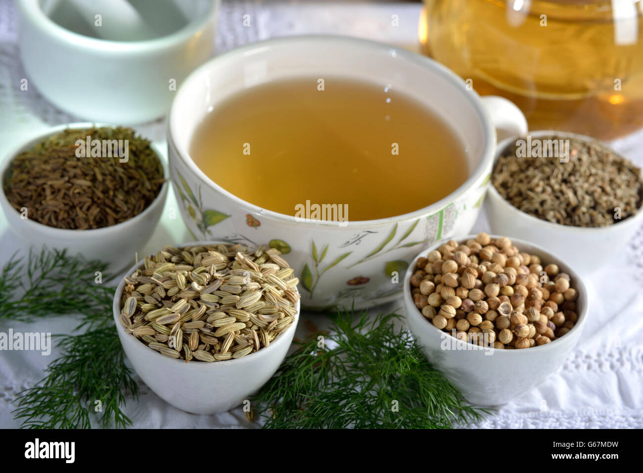 Stomachic tea, caraway, fennel, anise, coriander / (Foeniculum vulgare