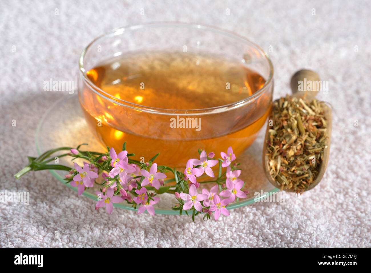 A cup of centaury tea / (Centaurium erythraea) Stock Photo