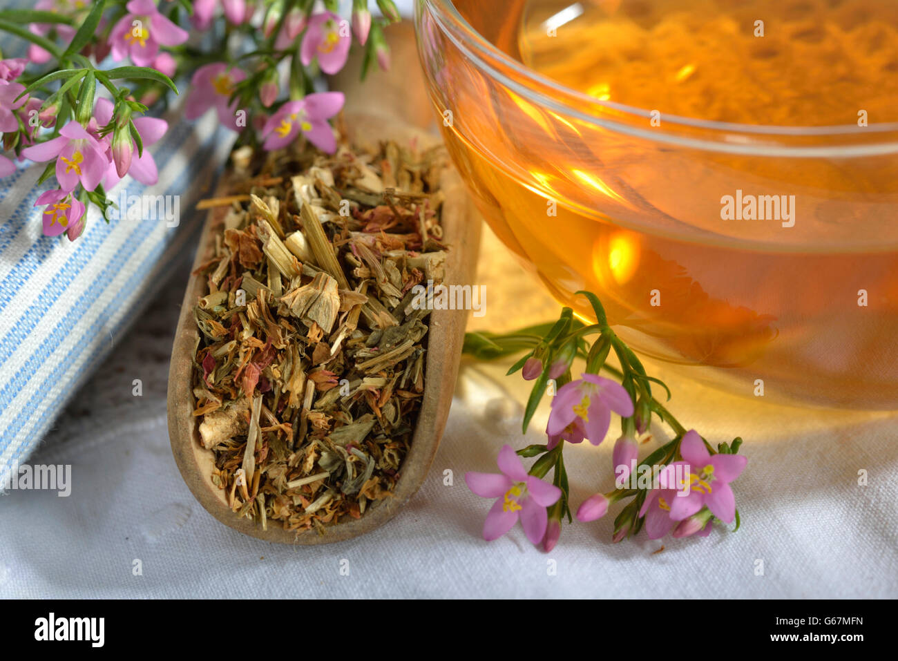 A cup of centaury tea / (Centaurium erythraea) Stock Photo