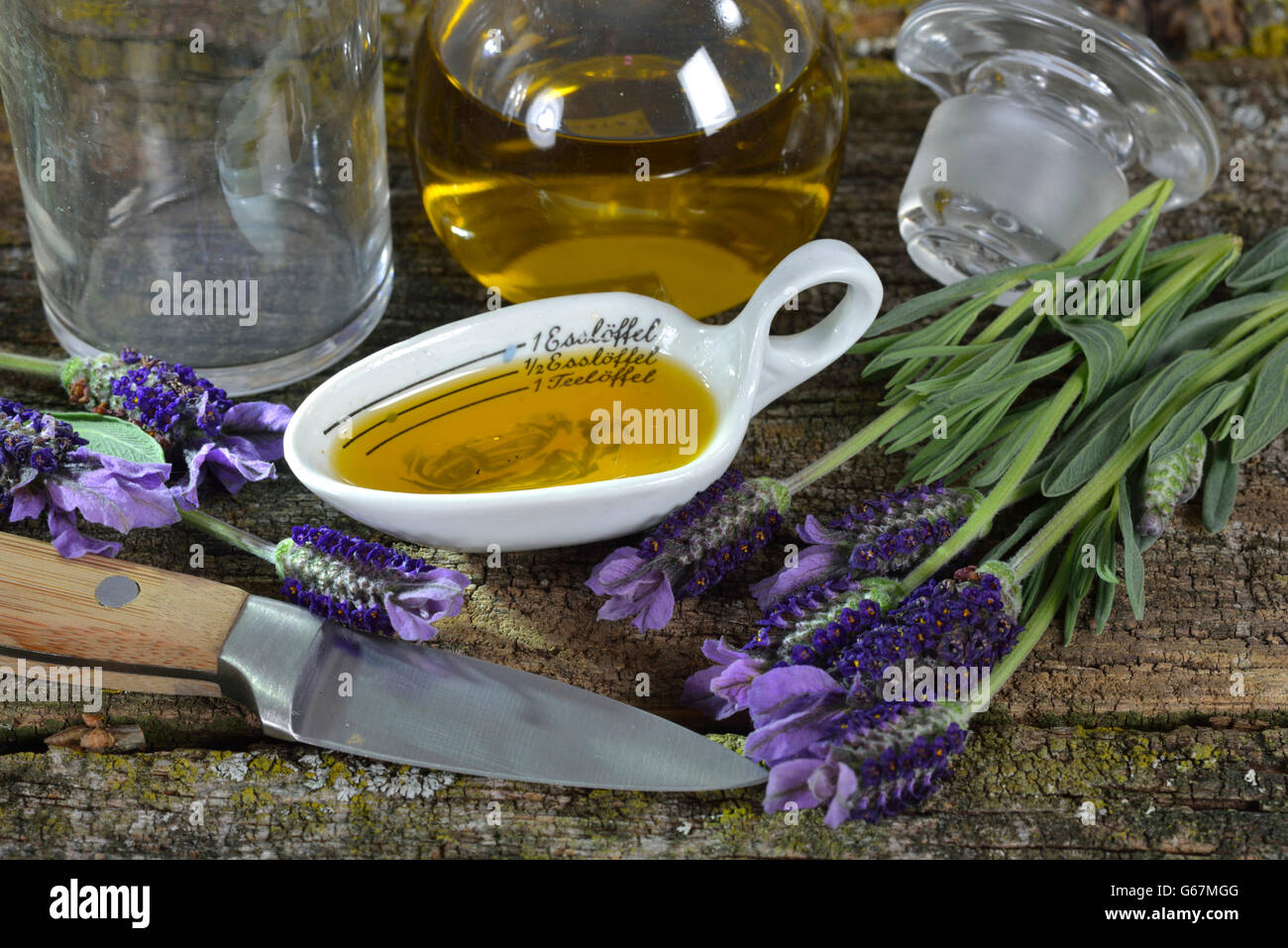 Production lavender oil / (Lavandula angustifolia) Stock Photo