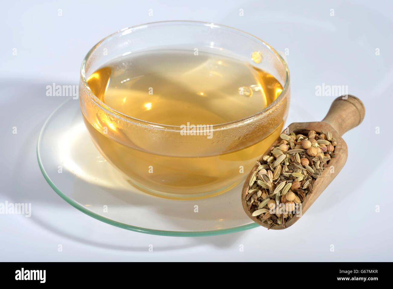 cup of tea with anise, fennel, annual caraway, coriander seed / (Pimpinella anisum, Foeniculum vulgare, Carum carvi, Coriandrum sativum) Stock Photo