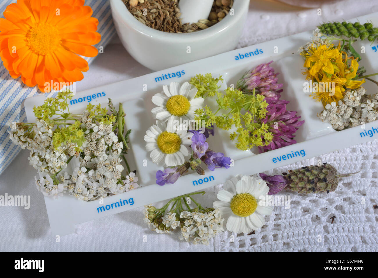 Daily pill box and healing plants Stock Photo
